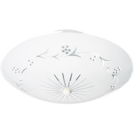 2-Light 12 In. Ceiling Fixture