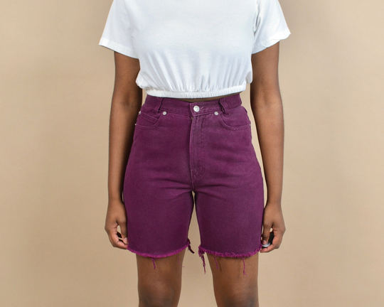 Skoozi Size 26 High Rise Vintage Denim Shorts