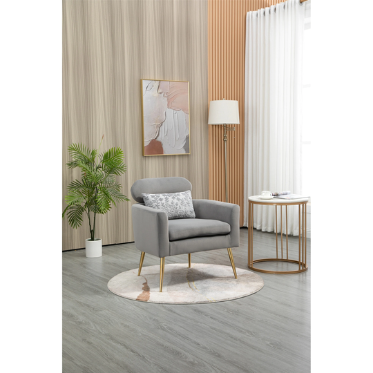 Velvet Accent Chair Living Room Armchair Lounge Chair, Grey
