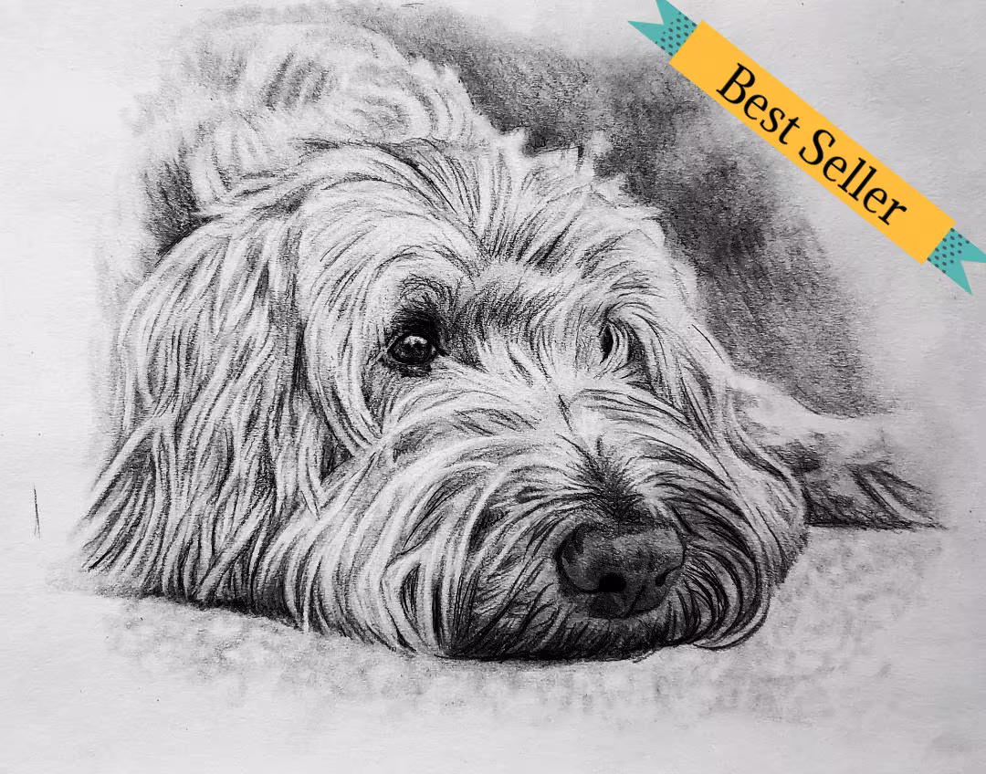Specialized Custom Pet Art Hand Drawn From Photos 1 Subject Graphite Pencil Sketch Realistic Drawing Gift Idea
