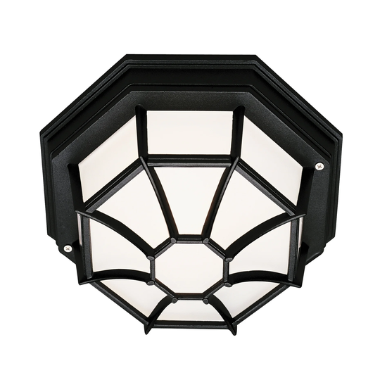 Benkert Frosted 1-light Flushmount Lantern