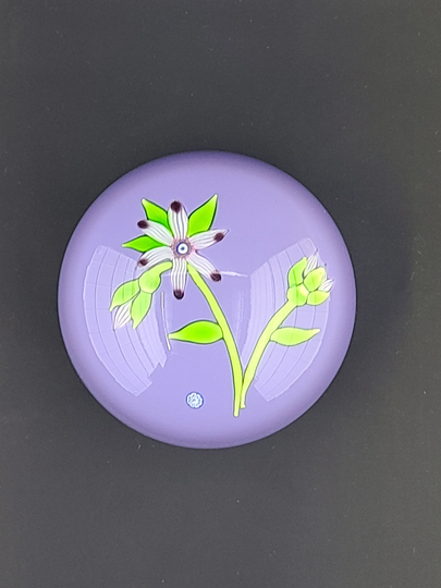 Perthshire Paperweights 1974B Art Glass Flowers Paperweight