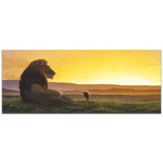 Ben Judd 'Lion in the Sun' 48in x 19in Expressionist Wall Art on Plexiglass - Multi-Color