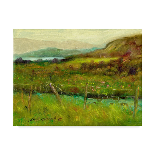 Hall Groat Ii 'Ring of Kerry, Ireland 10' Canvas Art - Multi-color