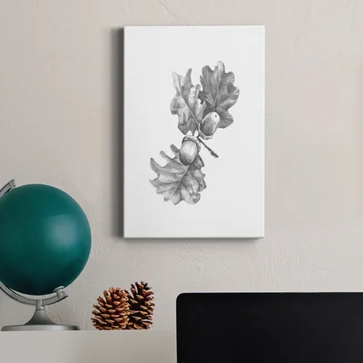 Oak Leaf Pencil Sketch II - Wrapped Canvas Print