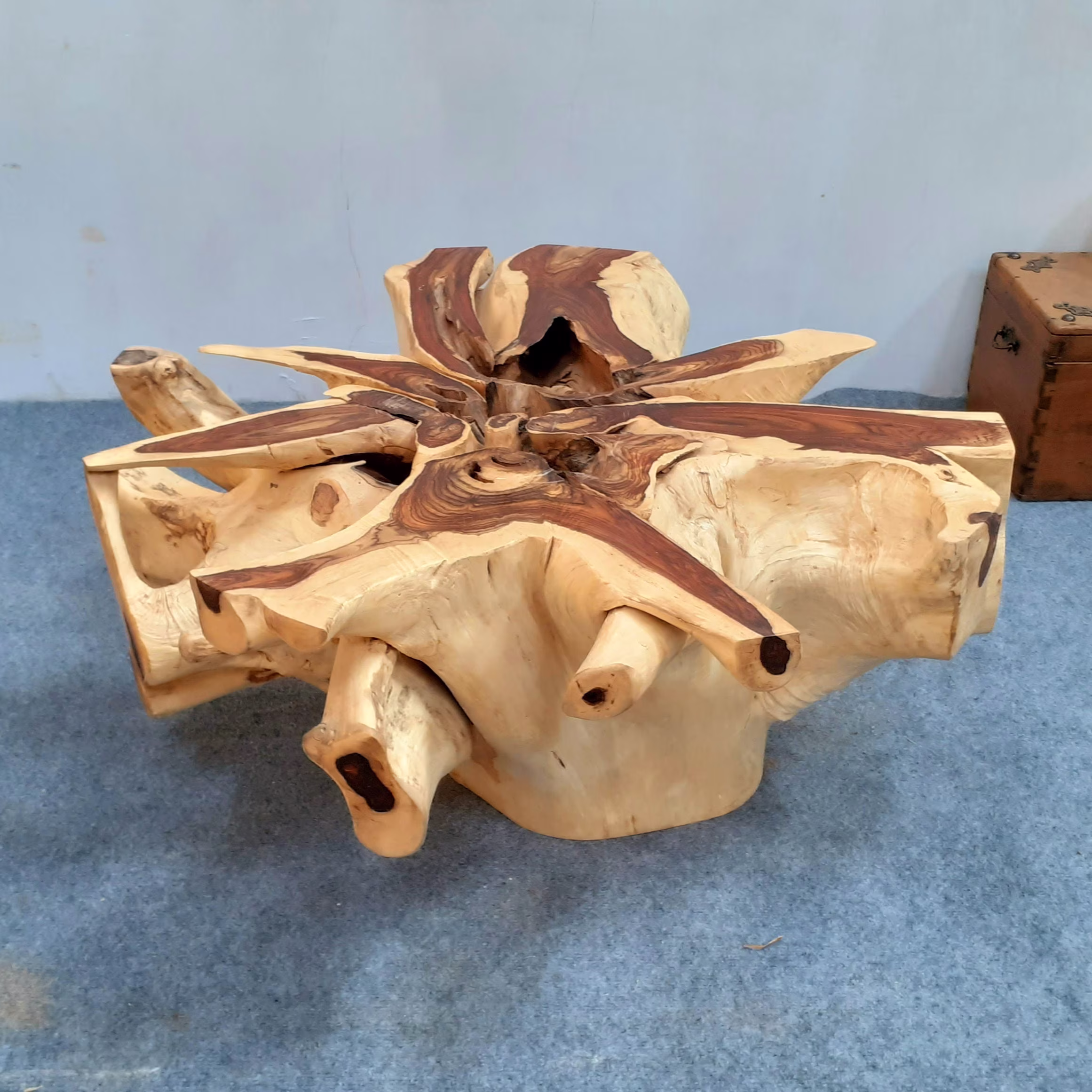 Round Coffee Table Base, Natural Tree Root Table, Unique