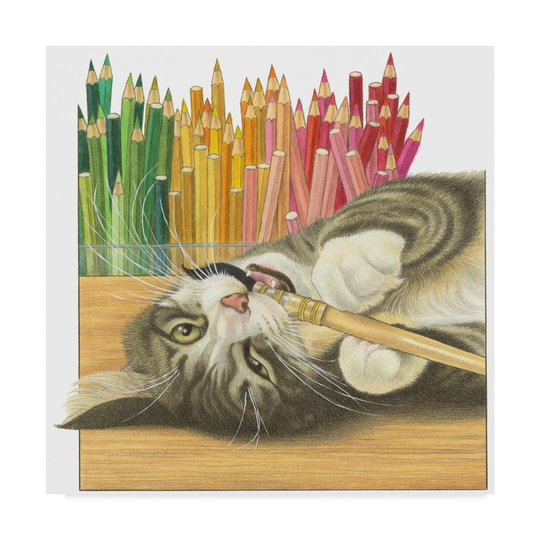 Francien Van Westering 'Gray Cat Over Pencils' Canvas Art - Multi-color