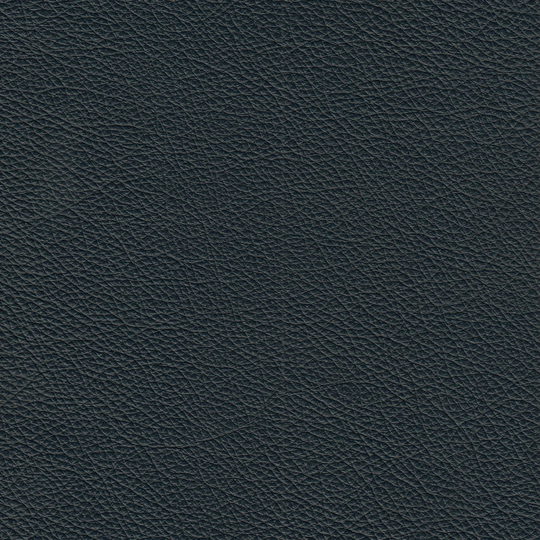 Assanto Genuine Leather Chair