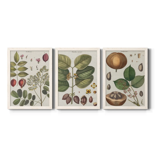 Exotic Botanique I-Premium Framed Canvas - Ready to Hang - Multi-Color