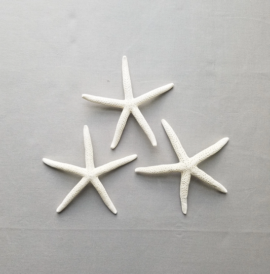Medium Pencil Starfish, White Finger Starfish, Diy Beach Decor, Coastal Decor Supplies, Starfish