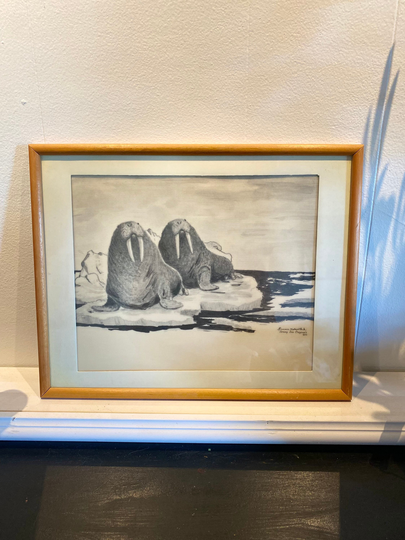 Bering Sea Originals | Walrus's Pencil Sketch Art By Florence Nupok Malewotkuk - Vintage 1955 Framed & Matted