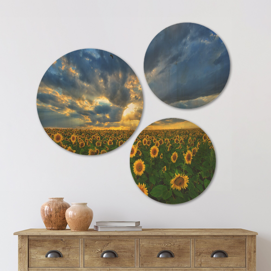 Designart 'Beauty Sunset over Sunflowers' Landscape Wood Wall Art Set of 3 Circles - Multi-Color