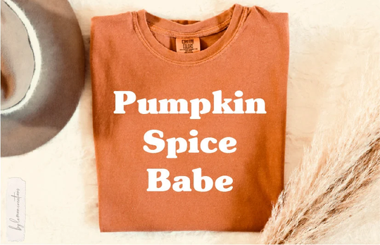 Pumpkin Spice Babe Comfort Colors Shirt, Psl, Fall Tee, Autumn Season Colors, Oversized Shirt