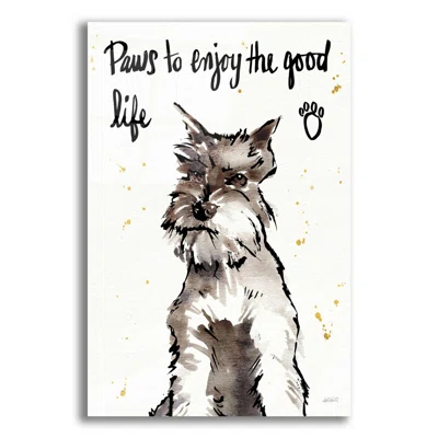 Strike a Paws XIV by Ann Tavoletti - Unframed Print