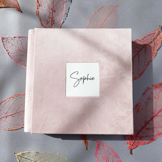 Luxury Baby Photo Album/Pregnancy Journal Personalized Baby Book Memory Book Custom