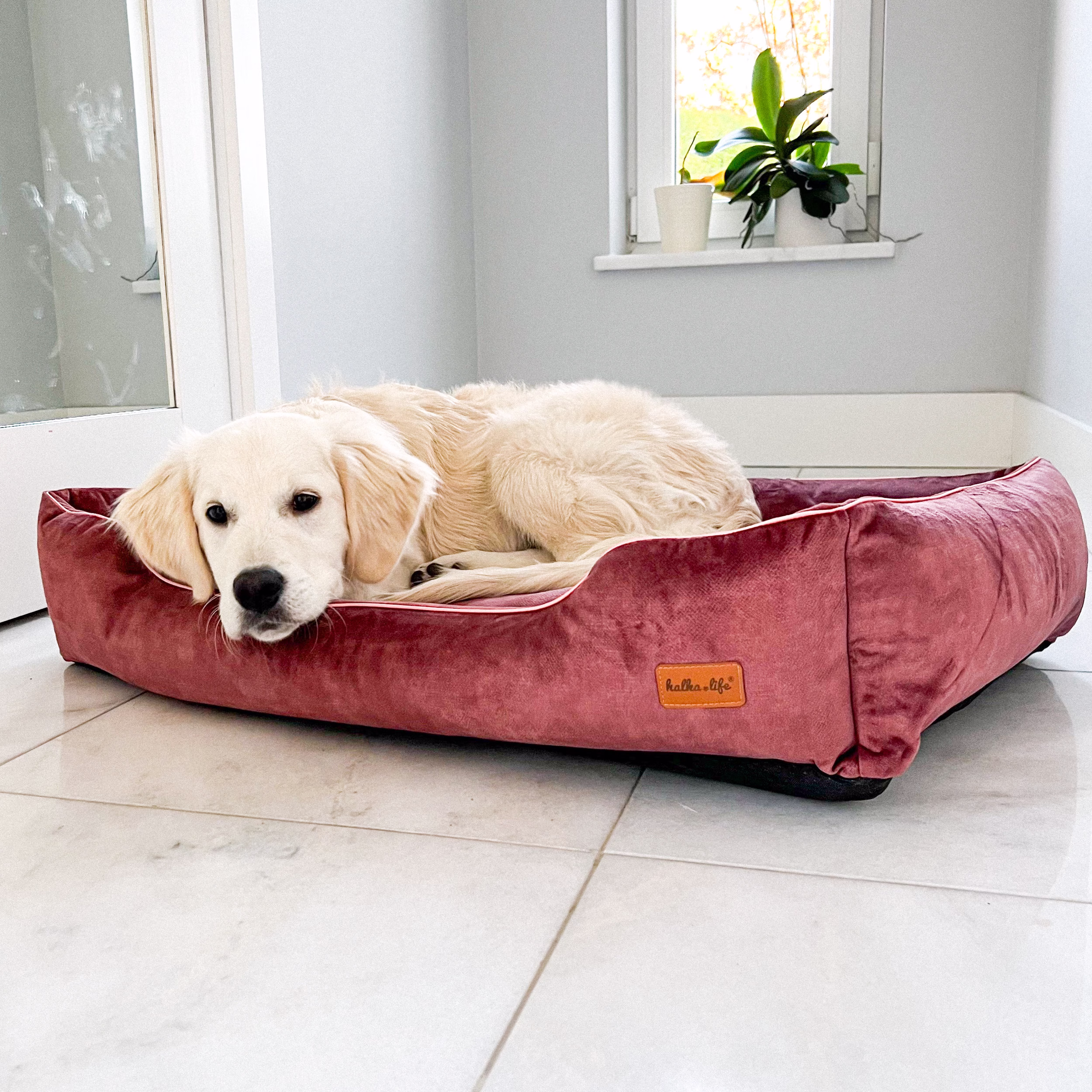 Velour Sofa For Dogs & Cats. Dirty Pink Soft Pet Friendly Material. Waterproof Bed With Removable Covers. Cat Glamour Couch
