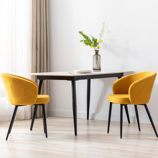 Modern style Upholstered fabric Chairs with Metal Legs( Set of 2)