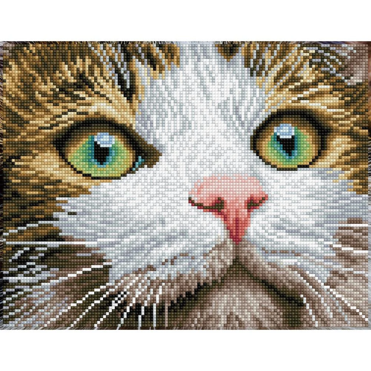 Diamond Dotz Green Eyed Beauty Facet Art Kit ~ Cats Feline Dotting