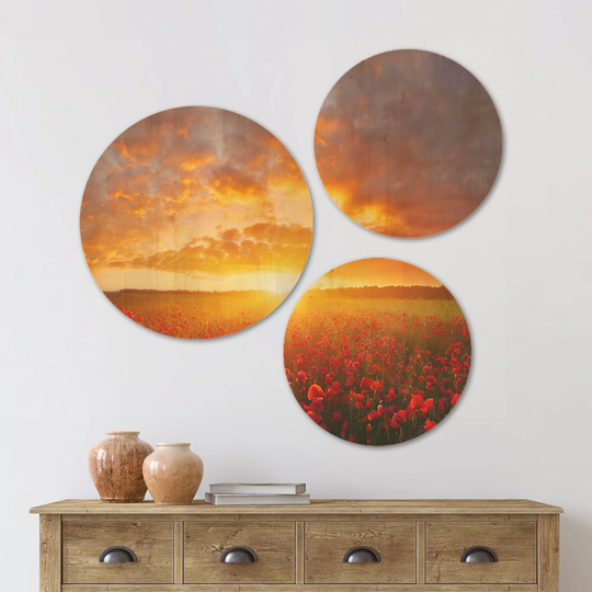 Designart 'Poppy Field under Bright Sunset' Landscape Wood Wall Art Set of 3 Circles - Multi-Color
