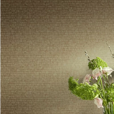 Antonia Vella Natural Opalescence Skin 33' L x 21" W Wallpaper Roll