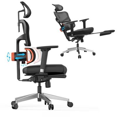 Kamlyn Ergonomic Office Chair With Adaptive Lumbar Support