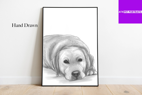 Pencil Sketch | Dog Art Cat Pet Custom Of Your Pets Hand Drawn & Printed On Poster Or Canvas Free Shipping