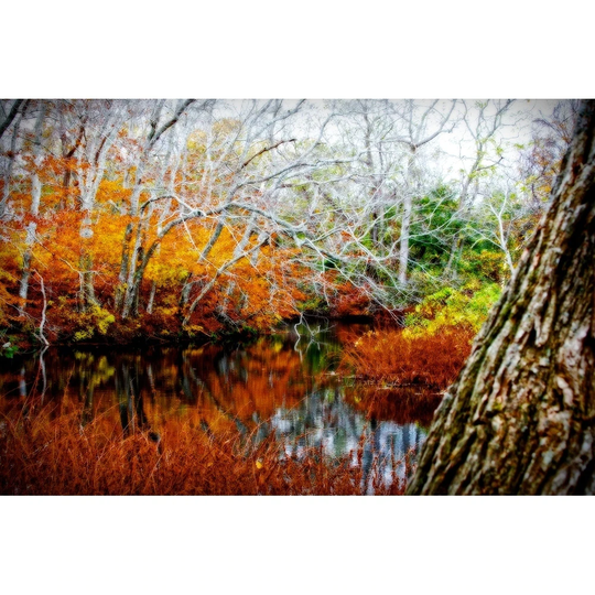 CANVAS Fall Pond Colors III by Jobe Waters Graphic Art Photography