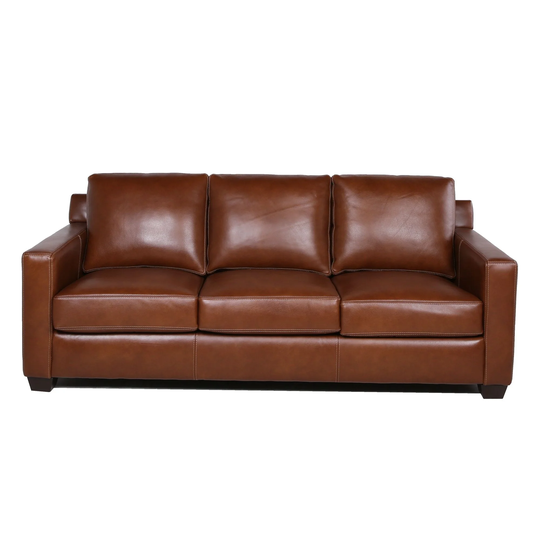 Copper Grove Xuyen Track Arm Leather Sofa