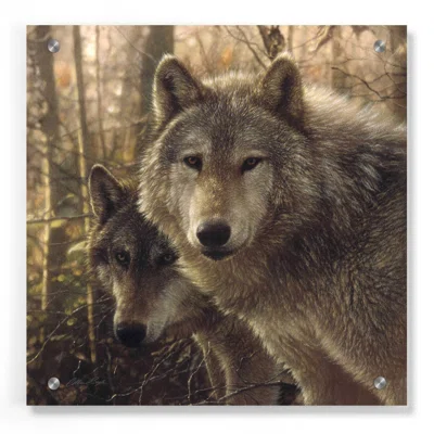 Wood Land Companions by Collin Bogle - Unframed Print