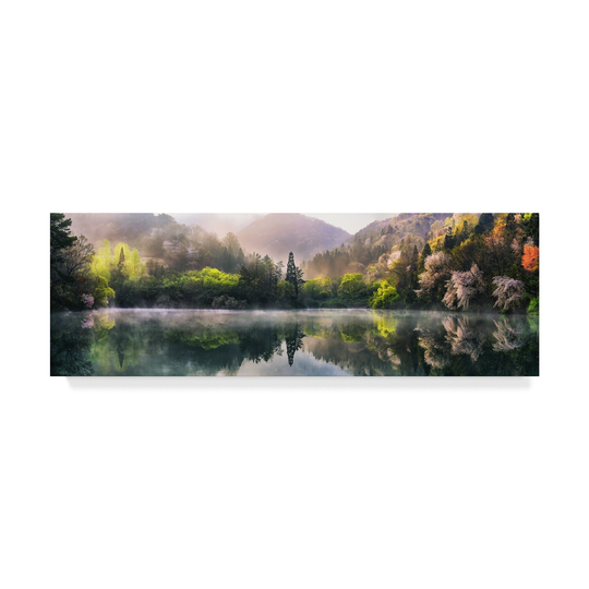 Tiger Seo 'Morning Calm Field' Canvas Art - Multi-color