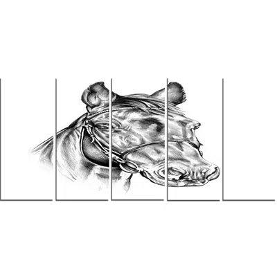 'Freehand Horse Head Pencil Drawing' 5 Piece Graphic Art on Wrapped Canvas Set