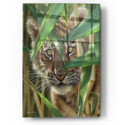 Peekaboo by Collin Bogle - Unframed Print