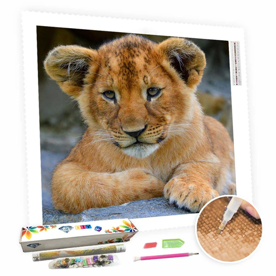 5D Diy Square Round Diamond Painting Kit Full Drill-Cute Little Lion-Diy By Number Rhinestone Pasted For Home Wall Decor