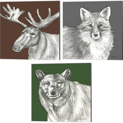 Watercolor Pencil Forest Color (Moose, Fox & Deer) By Kelsey Wilson, Canvas Art (Set Of 3)