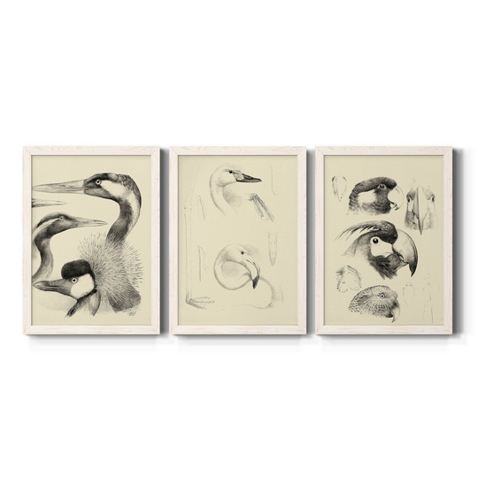 Waterbird Sketchbook I-Premium Framed Canvas - Ready to Hang - Multi-Color