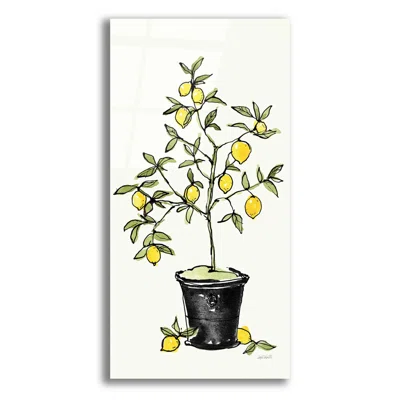 Citron V by Ann Tavoletti - Unframed Print