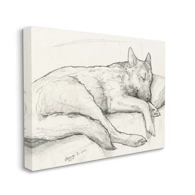 Dog Curled Up Resting Detailed Graphite Pencil Drawing Jet Black Framed Floating Canvas Wall Art By George Dyachenko an-043_ffb_16x20