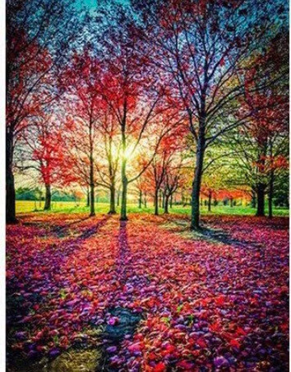 Us Seller. 40x30cm Trees in The Park, Fall Sunset Diamond Painting Kit. Round Drills, Full Drills, Fast S&h