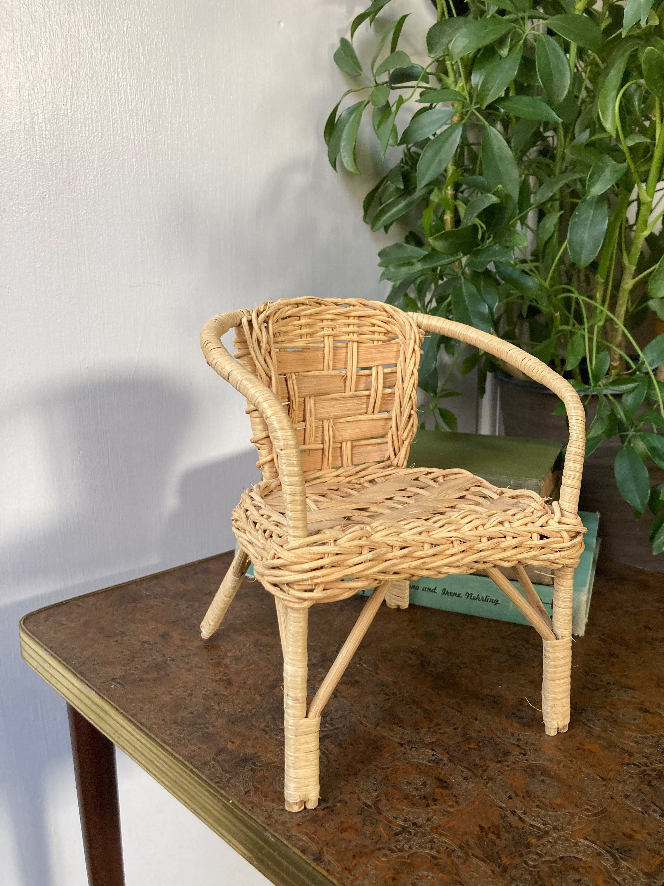 Wicker Plant Chair