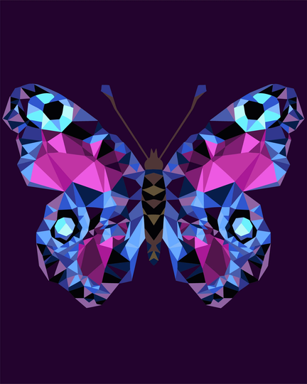 Paint By Numbers Kit Poly Butterfly P003 19.69 X 15.75 in Diy Acrylic Painting USA Shipping Handmade Gift
