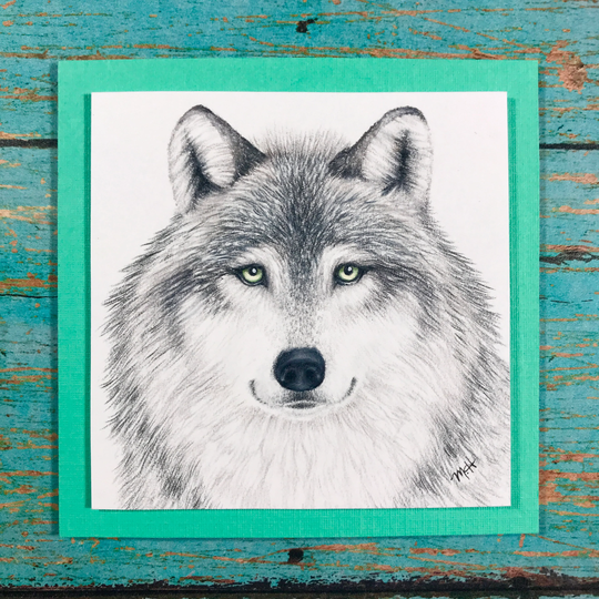 Gray Wolf Itty Bitty Frameless Original Colored Pencil Drawing