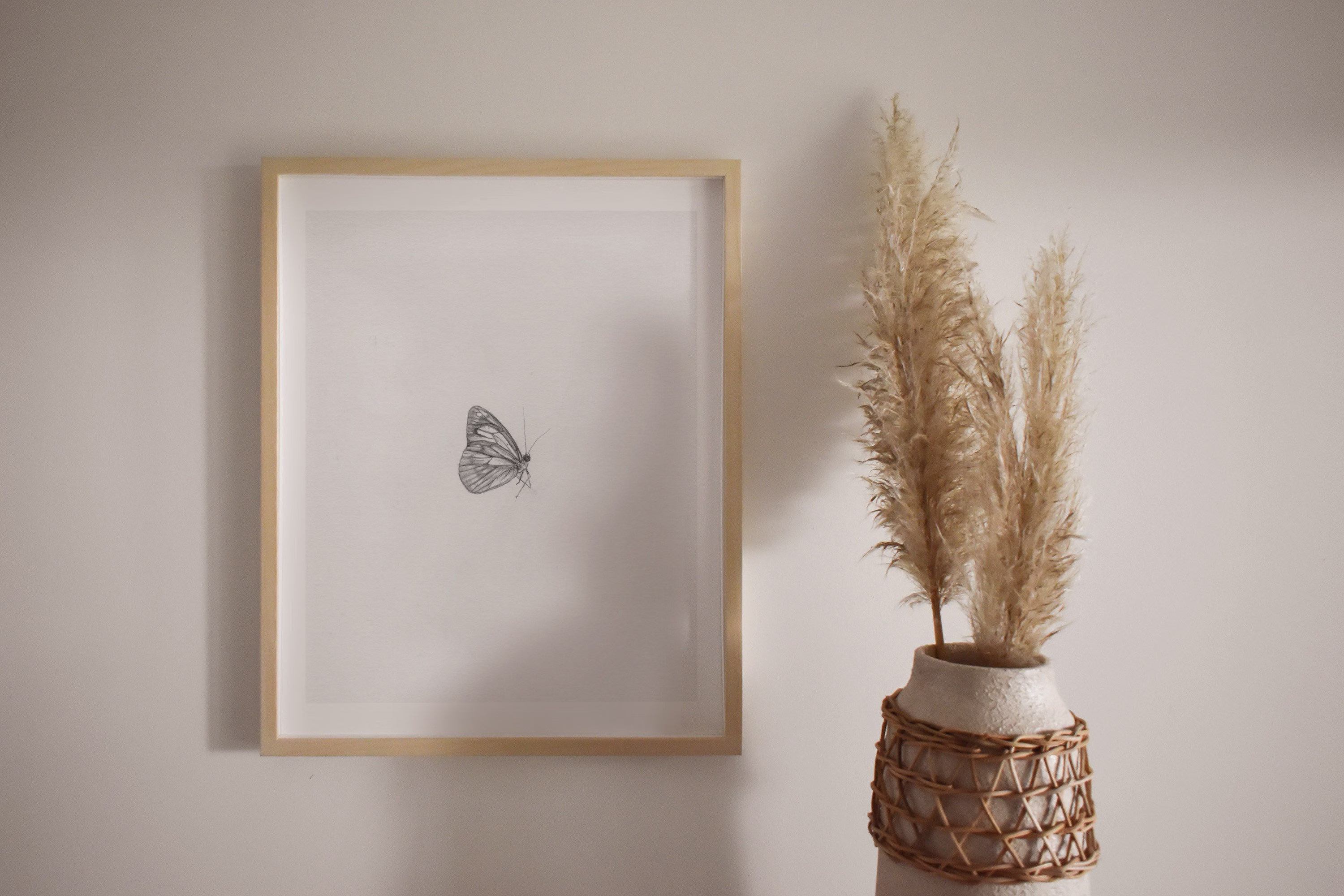 White Common Butterfly Drawing Unframed Print Wings, Botanical Art, Home Decor, Fine Illustration, Graphite Pencil Drawing