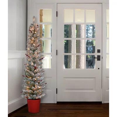 5' White Fir Artificial Christmas Tree with 70 White Lights