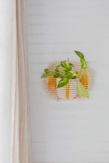 Colorful Macrame Wall Planter, Plant Hanger, Modern Decor, Hanging Planter