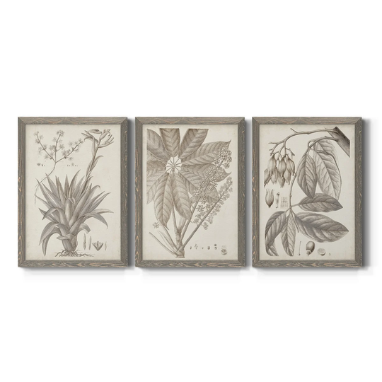 Sepia Exotic Plants IV-Premium Framed Canvas - Ready to Hang - Multi-Color