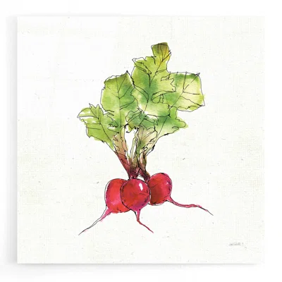 Veggie Market II Radish by Ann Tavoletti - Unframed Print