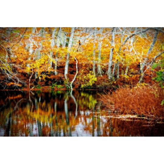 CANVAS Fall Colors 1 a Pond by Jobe Waters Photographic Art Reproduction