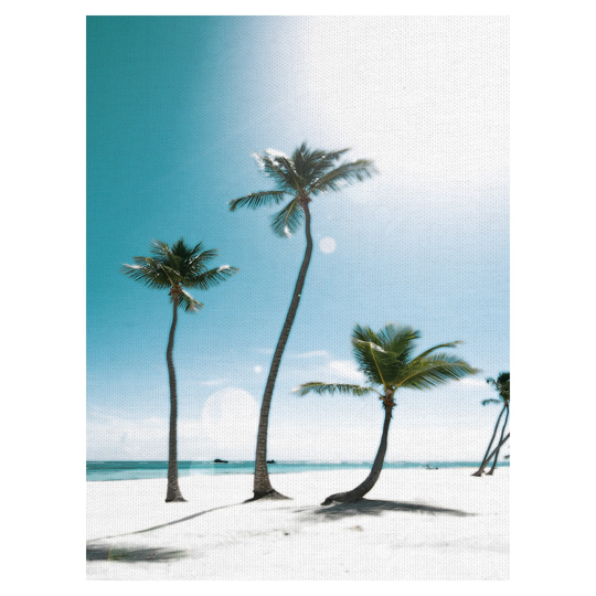 Fine Art canvas Illuminated Palms Coastal Trees IV by Noah Bay Canvas Art Print - Multi-color