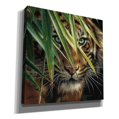 Ebern Designs 'Tiger Eyes' By Collin Bogle, Canvas Wall Art