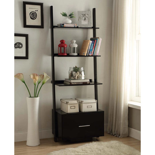 Copper Grove Aubrieta Ladder Bookcase with File Drawer